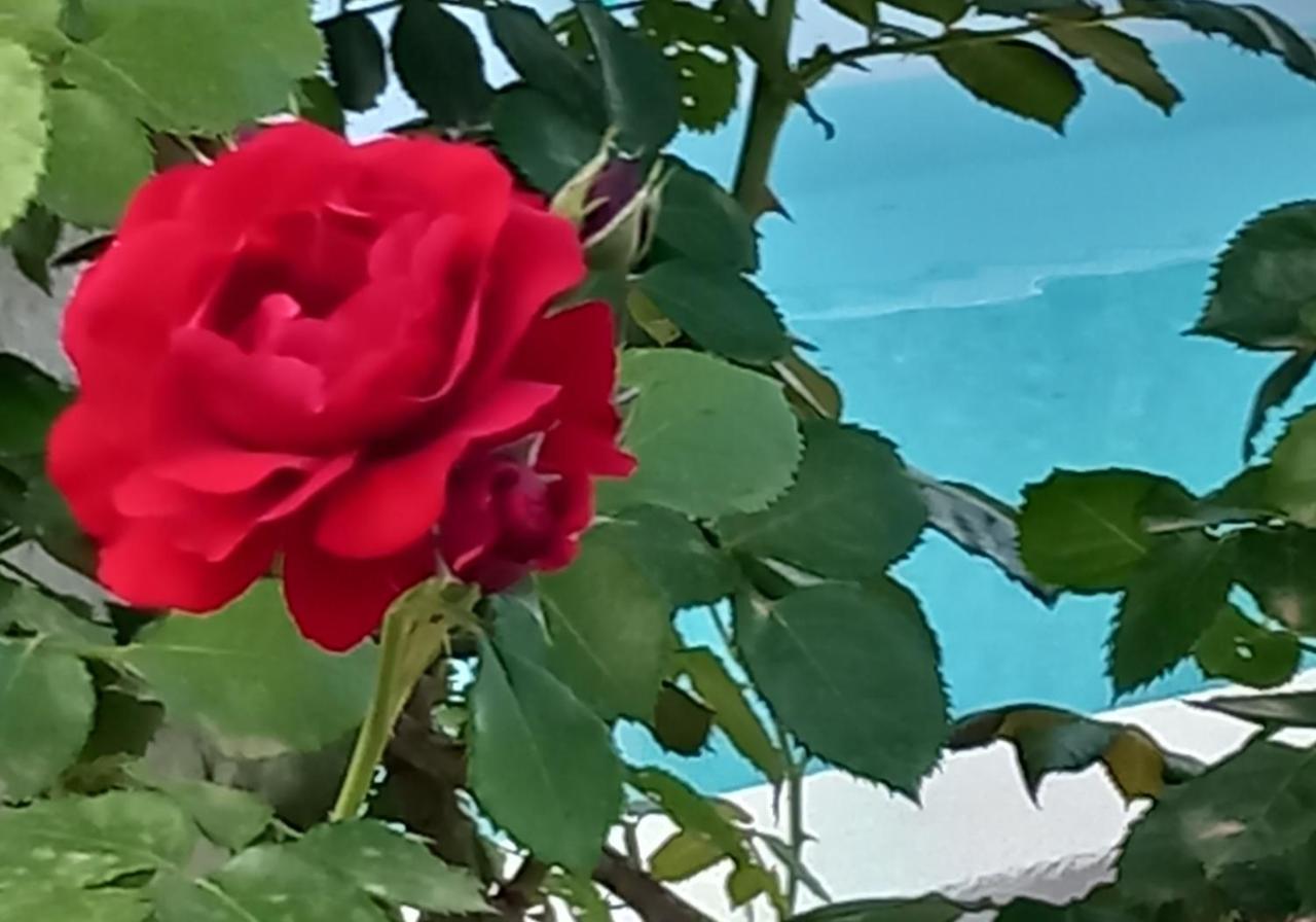 Masseria Incantamento Suite Bouganville Latiano Εξωτερικό φωτογραφία